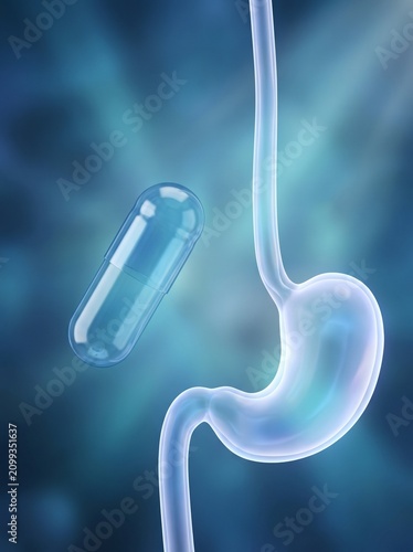 Medical Illustration of a Capsule Pill and Human Stomach Anatomy
