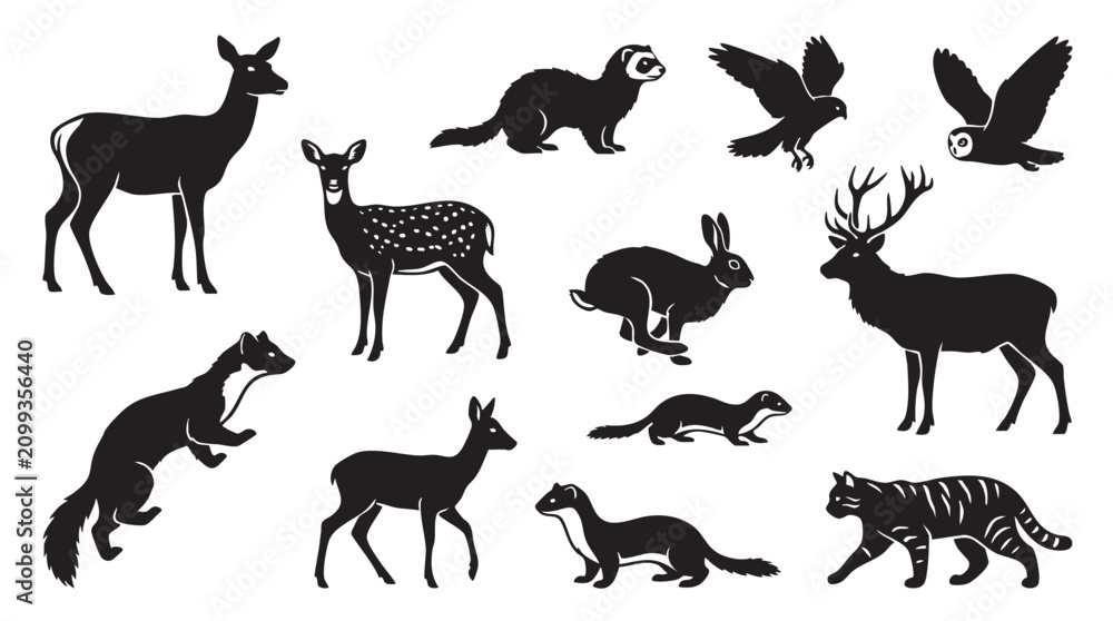 Fototapeta premium Collection of wild forest animals silhouettes deer fox badger rabbit weasel owl tiger.
