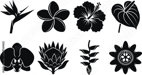 Bild auf Leinwand Set of tropical flower and plant silhouettes including hibiscus orchid and bird