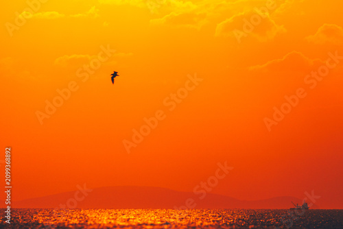 sunset views of the sea and the city
