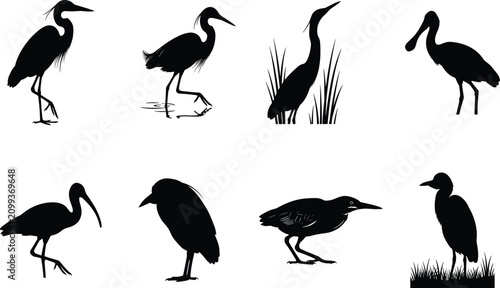 Foto PrintHeron and wetland wading birds vector silhouette bundle with egret ibis spo