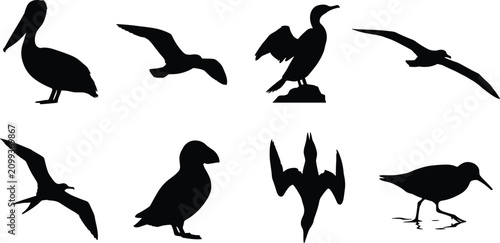 Canvastavla PrintSea and coastal birds vector silhouette bundle with pelican seagull cormora