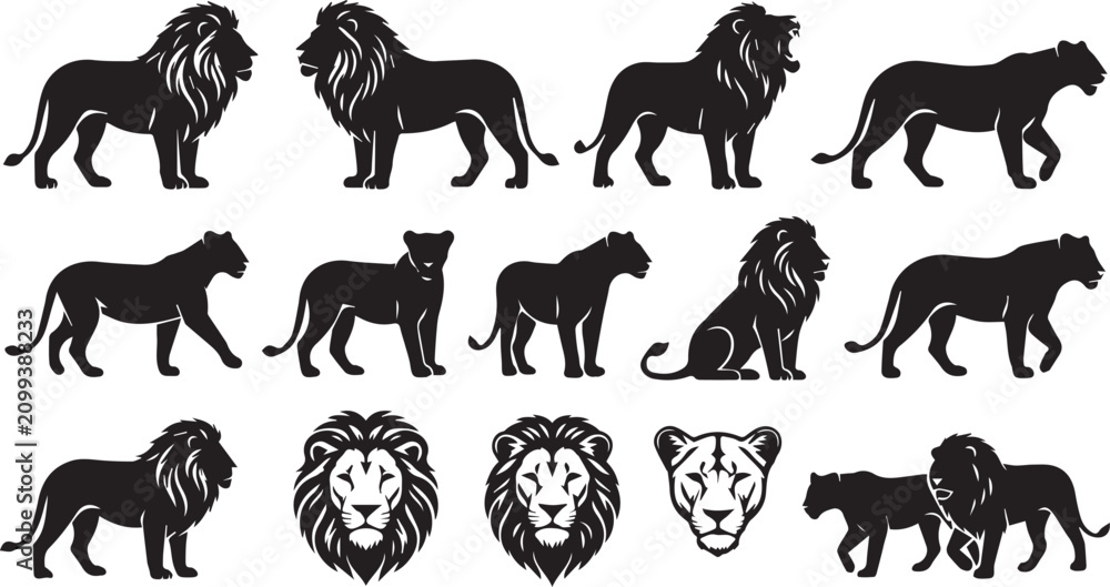 Obraz premium Lion silhouettes and heads. Black lion icons set.