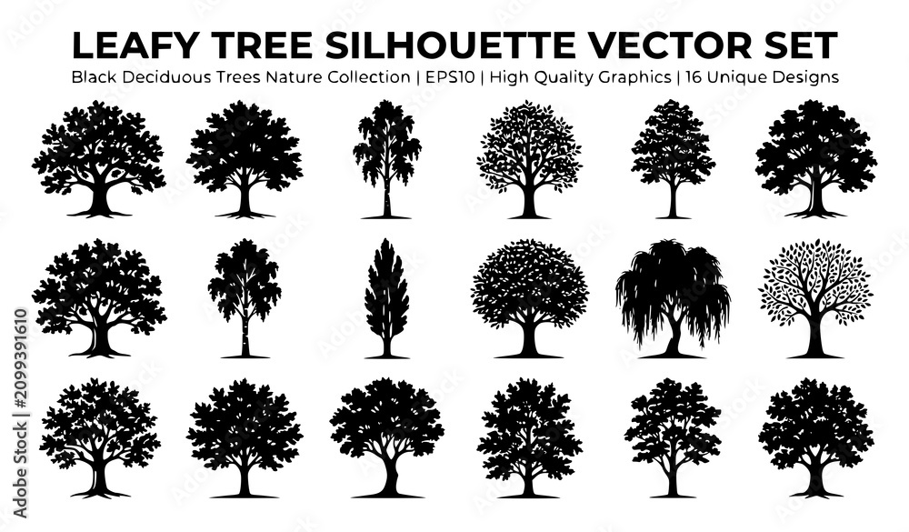 Fototapeta premium Create a premium vector illustration featuring 30 unique black leafy tree silhouettes isolated on a solid white background. Include oak, maple, elm, birch, beech, chestnut, ash, willow, poplar, sycamo