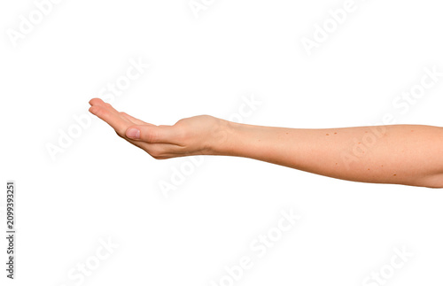 hand hold palm
