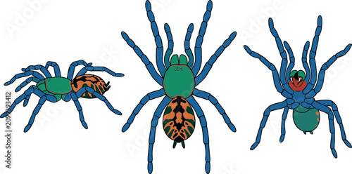 Fotografía Exotic Tarantula Spider Vector Illustration Set Featuring Colorful Green and Blu