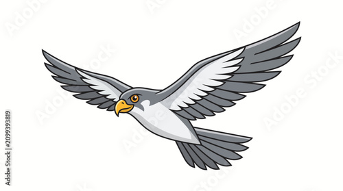 Photos Flying gray and white bird with yellow beak