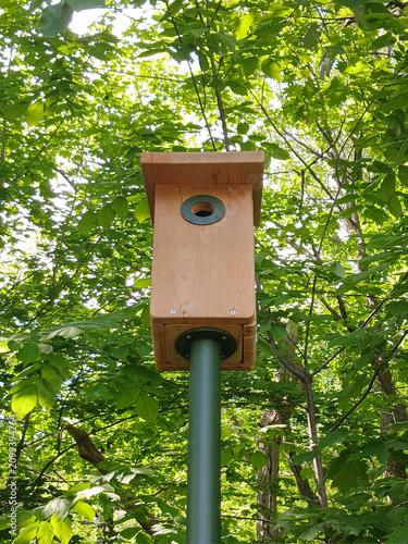Front view of a natural wood nest box for wild birds. Birdhouse in a natural setting. Bird shelter. Animal protection and natural environment conservation.