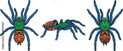 Foto Tarantula Spider Vector Illustration Set Featuring Colorful Exotic Green and Blu