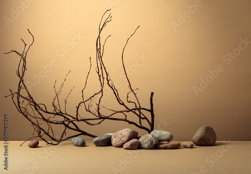 Foto An intricately entwined branches and smooth stones against a beige background