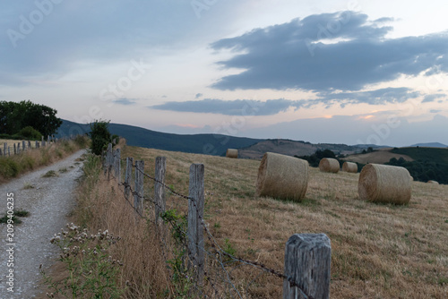 Rural road through pastures with bales of dry grass