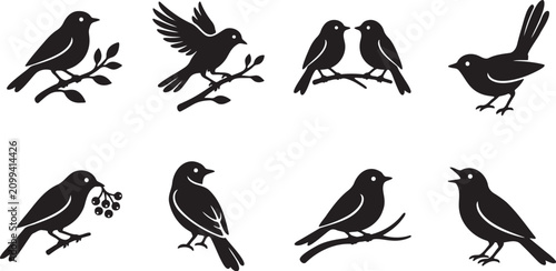 Black silhouette bird icons set with various poses and actions on branches vector graphic illustration