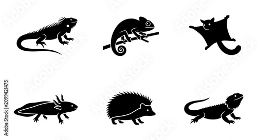 Canvas Print Set of 6 Black Silhouette Reptile and Mammal Icons: Iguana, Chameleon, Flying Sq