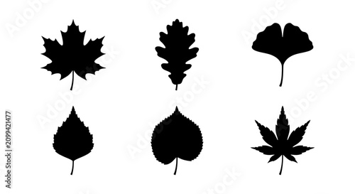 Vector Leaf Silhouettes: Maple, Oak, Ginkgo, Birch, Heart-Shaped, Japanese Maple Icons
