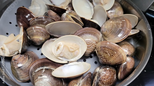 Process of Steaming Fresh Clams Opening Shells in Stainless Steel Steamer Pot