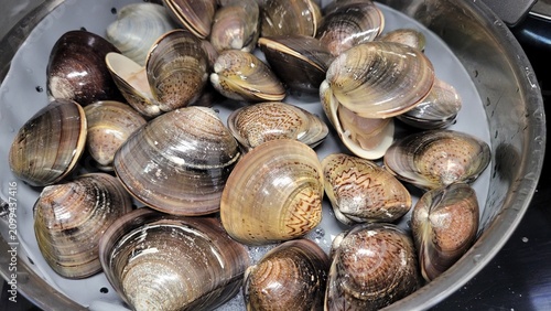 Process of Steaming Fresh Clams Opening Shells in Stainless Steel Steamer Pot