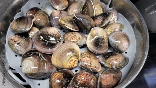Process of Steaming Fresh Clams Opening Shells in Stainless Steel Steamer Pot