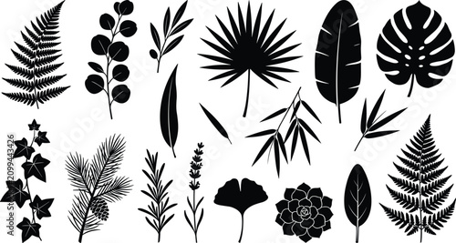 Tropical and Botanical Leaf Silhouette Collection with Floral Plant Vector Icon Set