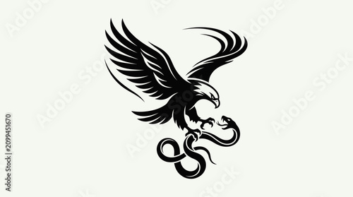 Foto Black eagle bird flying free.
