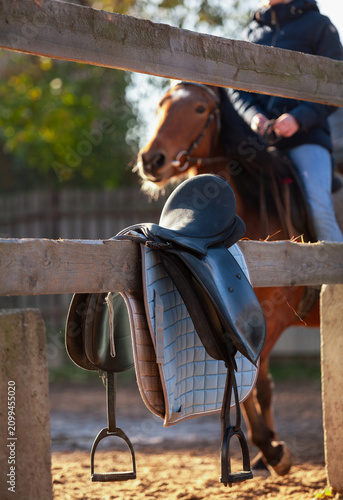 horse saddle hangs on wooden fence with horse in background