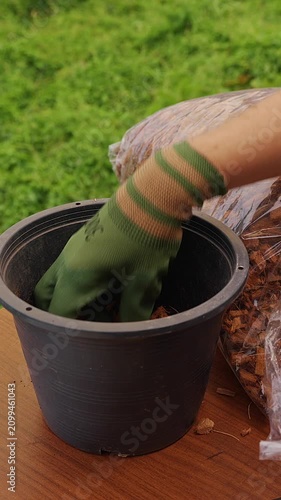 Vertical video. Gardener Wearing Protective Gloves Places Coconut Husk into a Black Pot Outdoors, Preparing an Aerated Growing Medium for Tropical Container Gardening