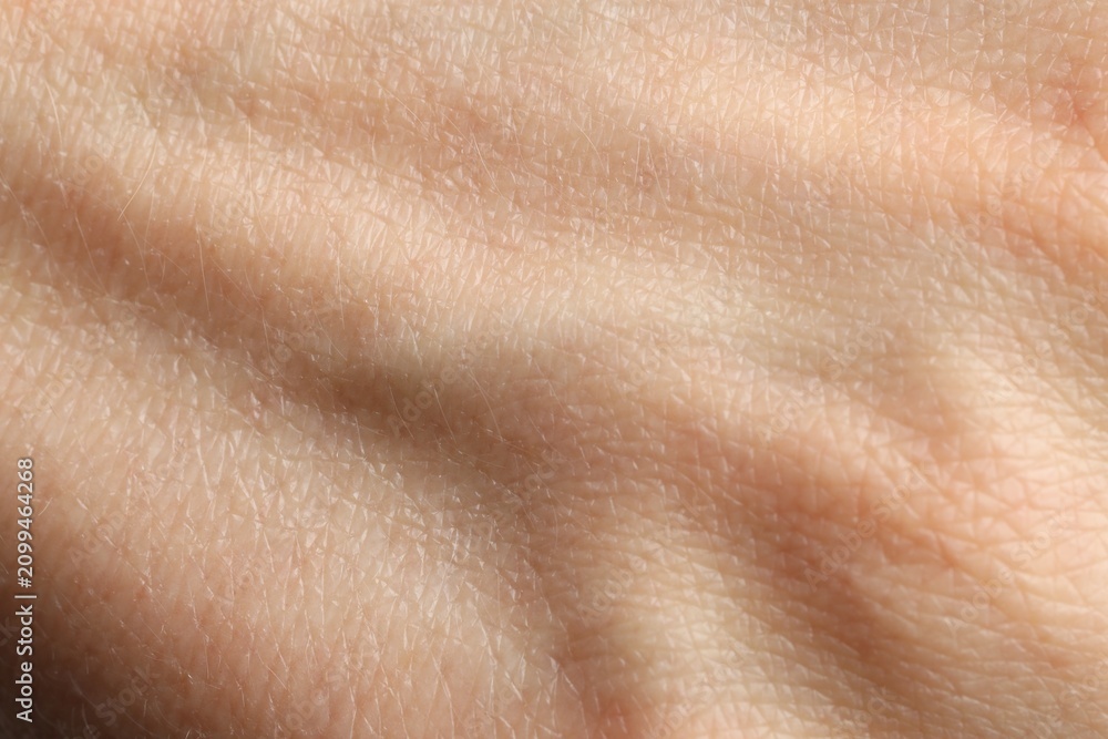 Fototapeta premium Texture of normal skin as background, closeup