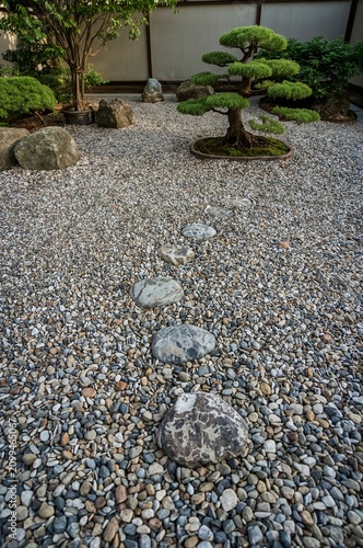 Garden With Stone Path and Bonsai Trees in a Quiet Space