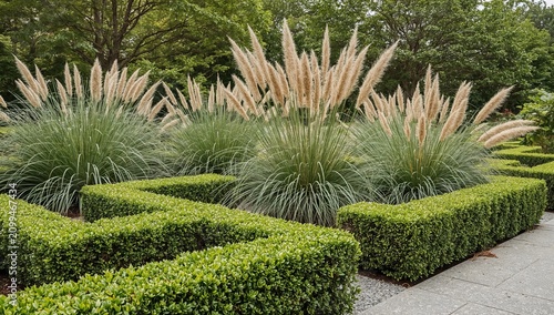 Garden Design Features Boxwood Hedges and Ornamental Grasses in a Landscaped ...