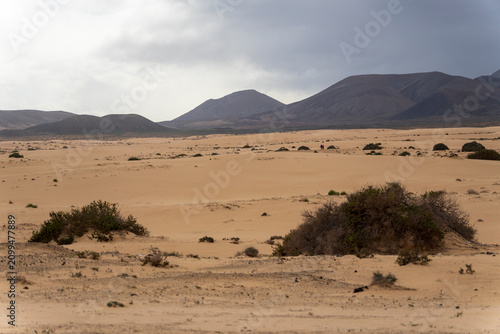 Fuerteventura island Canary islands Spain. Corralejo Natural Park has beaches with strong winds and dunes, such as El Moro.