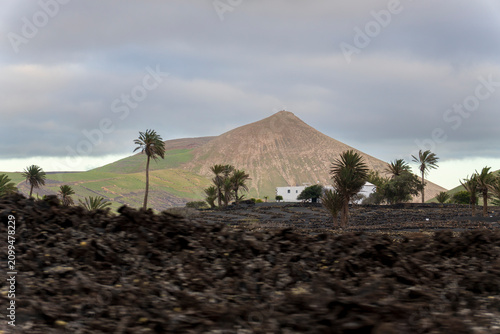 Lanzarote island in green in an unususaly rainy winter  province of Las Palmas Canary islands Spain