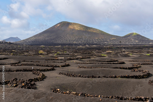 Lanzarote island in green in an unususaly rainy winter  province of Las Palmas Canary islands Spain