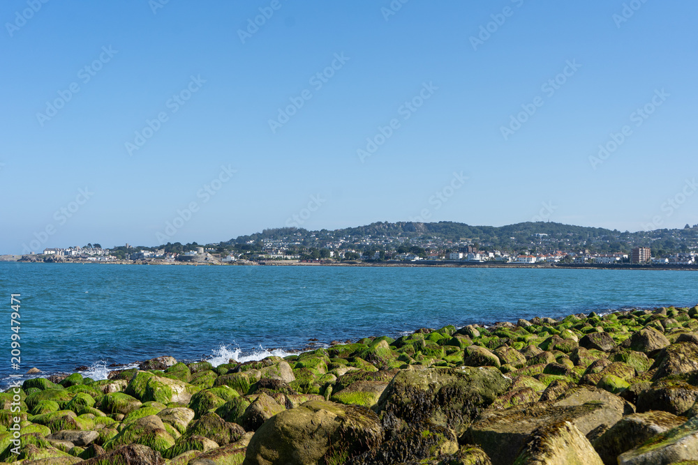 Fototapeta premium Moss covered rocks along Dublin Bay