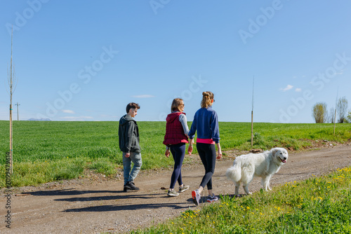 Friends Walking with a Maremma Sheepdog on a Quiet Country Road