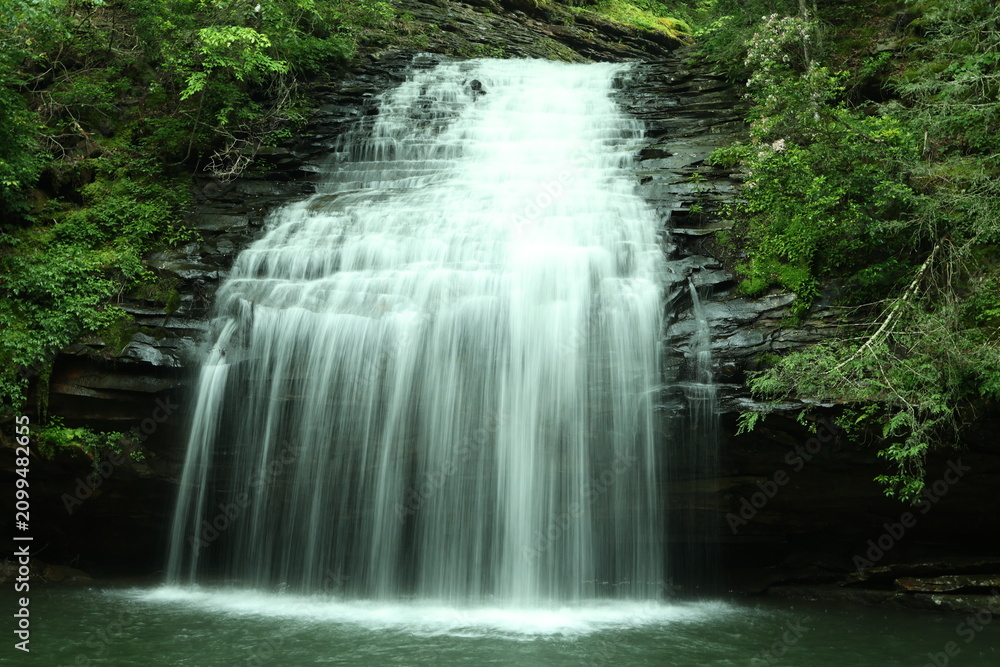 Obraz premium Close-up of Stinging Fork Falls cascading through a lush Tennessee forest