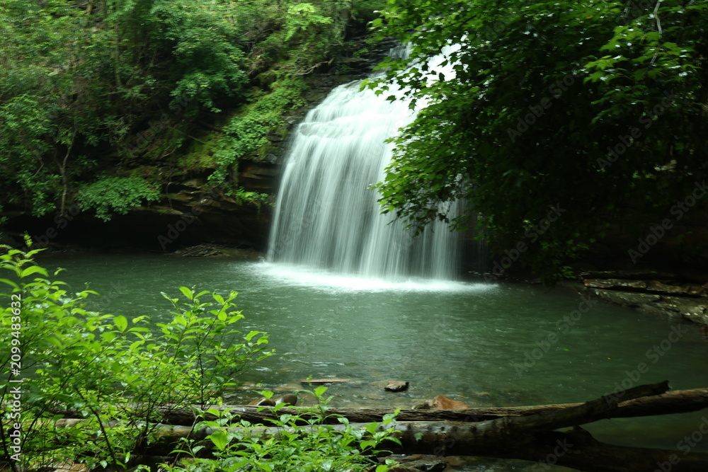 Obraz premium Scenic view of Stinging Fork Falls in a lush Tennessee forest