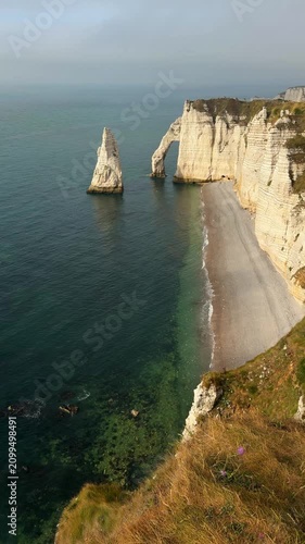Beautiful vertical shot of famous chalk arch and needle in Etretat France on overcast morning with wild purple flower on cliff edge.