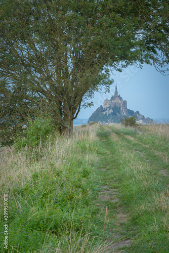 Φωτογραφία Mont Saint-Michel abbey framed by a large green tree branch and a scenic dirt road in Normandy, France