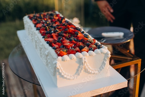 Long fruit cake with berries on buffet table