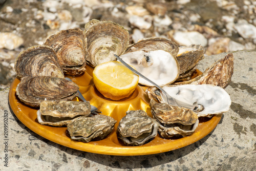Fresh oysters on plastic plates aready to eat, Brittany fish market stall in coastal village Cancale, famous oysters farms by Atlantic ocean, France