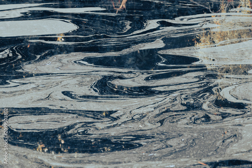 Fotografía pond scum