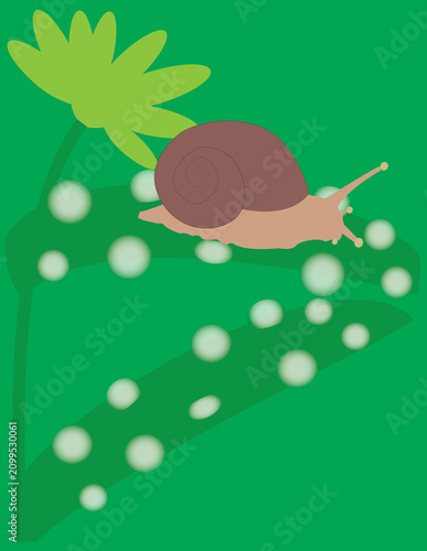 Photography A vector art of a snail, a shelled gastropod, which is a type of invertebrate belonging to the phylum Mollusca