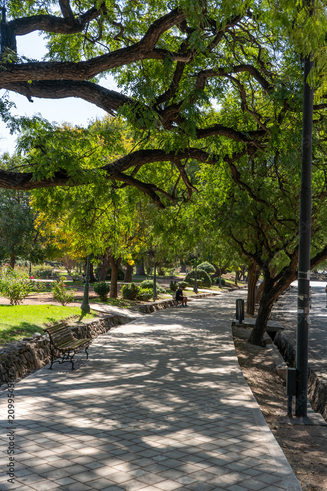 Obraz premium path in the park
