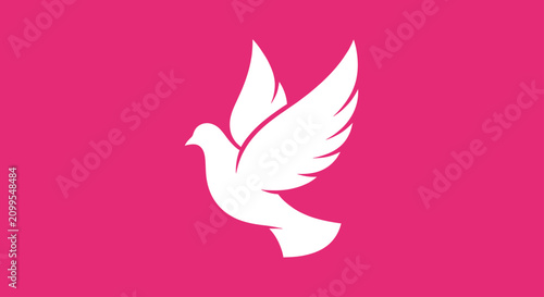 Fotografi White dove flying silhouette on pink background.