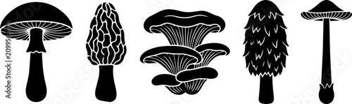 Detailed black and white vector illustration set featuring five unique mushroom species for creative design projects