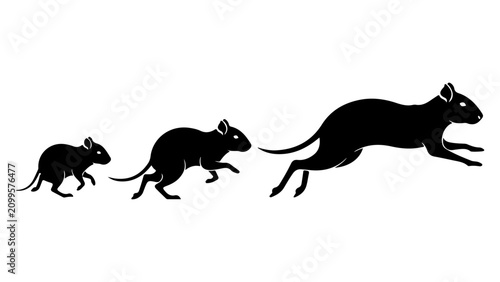Fotografie Sequence of Running Black Panthers in Motion.