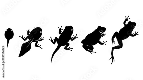 Bild auf Leinwand Sequence of Five Cartoon Lizard Characters in Different Poses.