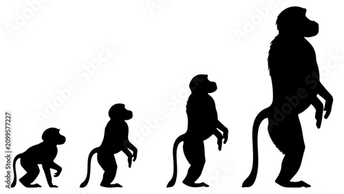 Fotografie Evolution of Human Ancestors from Early to Modern.