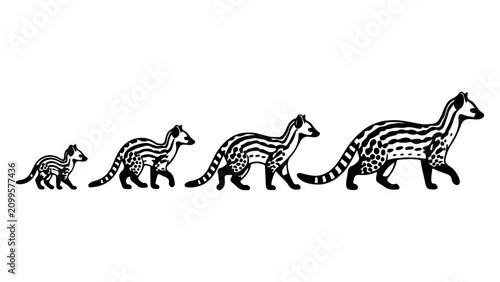 Canvastavla Progression of Dinosaur Evolution Illustration.