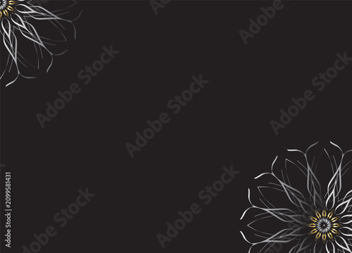 Monochrome Abstract Flower Petals with Black Background