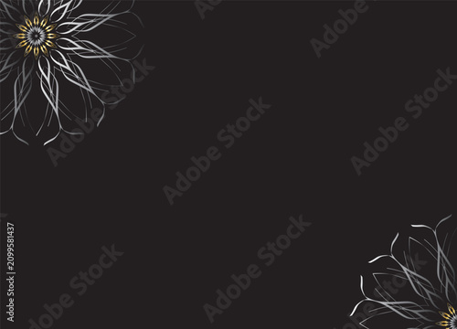 Monochrome Abstract Flower Petals with Black Background
